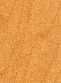wood grain glossy formica laminate hpl